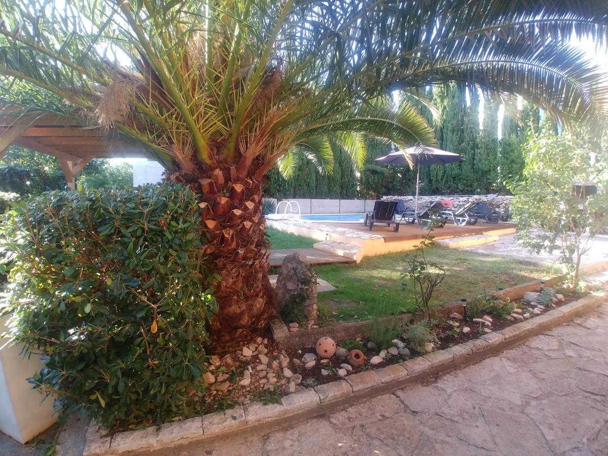 Terra Mare *